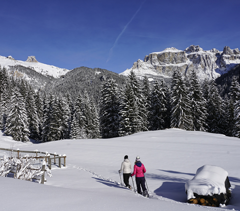 Val Di Fassa Snowshoeing And Walking Itineraries